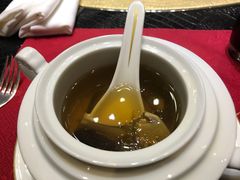 -诺莱仕游艇会