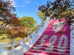 -田野绿世界