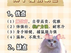 -FAELING PETS美天灵宠物(合生汇店)