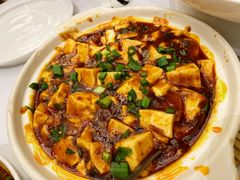麻婆豆腐-眉州东坡(北苑华贸店)
