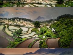 -中国湿地博物馆