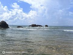 -小麦岛公园