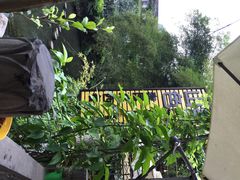 山色西餐厅-山色柴火烤披萨·原切牛扒