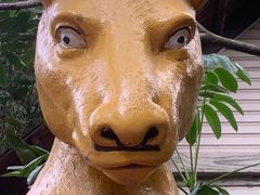 -广州长隆野生动物世界