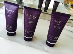 iphone_upload_pic-新加坡丽思卡尔顿美年酒店