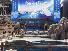 -杭州长乔极地海洋公园