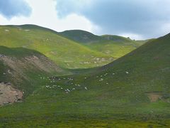 -扁都口生态休闲旅游区