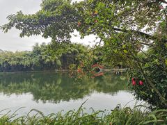 -棠湖公园