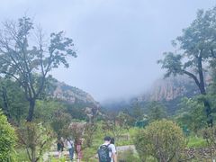 -崂山仰口游览区