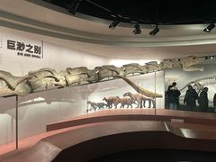 -自贡恐龙博物馆