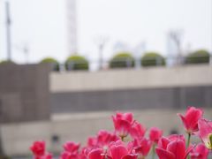 -外滩