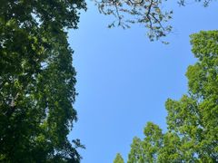 -东平国家森林公园