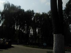 -温江公园