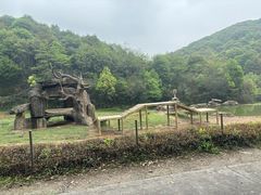 -杭州野生动物世界