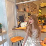 中山探店|仿佛走进童话里的咖啡书屋🪴