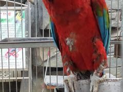 -鄂尔多斯野生动物园