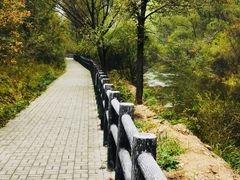 -百里山水画廊