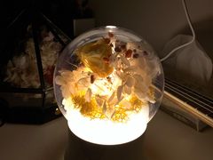 -Summer House夏莫手工坊团建活动(世博源店)