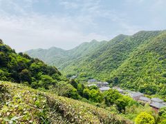 -午潮山国家森林公园