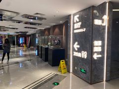 -上海金逸影城(静安大悦城店（原新恒星影城）)
