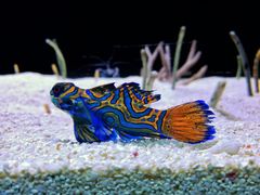 -上海海洋水族馆