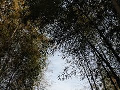 -陶祖圣境风景区