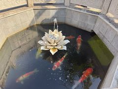 -西安市广仁寺