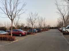 -东郊湿地公园