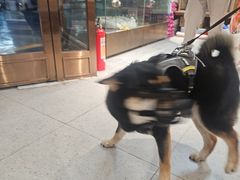 -FAELING PETS美天灵宠物(富力广场店)