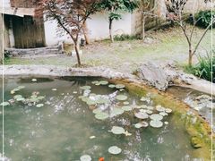 -塔川景区