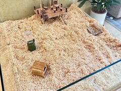 -宁波九龙湖开元度假村