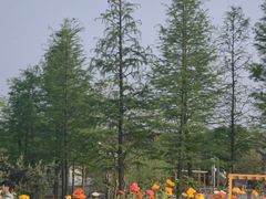 -苏州上方山国家森林公园