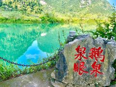 -靖西鹅泉风景区