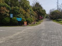 -上海海湾国家森林公园