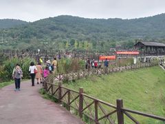 -石塘人家