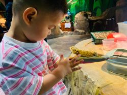 -酷嗒动物文化乐园(cutezoo西溪乐天城店)