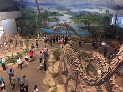 -自贡恐龙博物馆