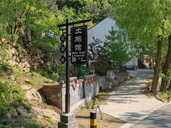 -王顺山国家森林公园