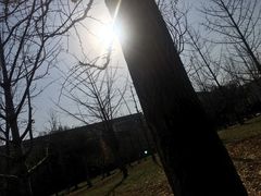 -武汉光谷K11