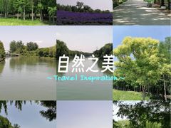 -同里国家湿地公园