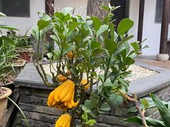 -我嘉书房(南翔名士居店)