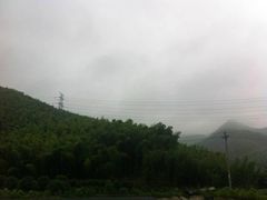 -宁波浙东大竹海景区