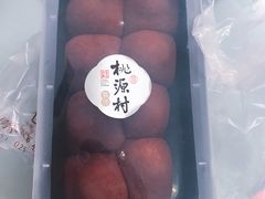 -桃源村(老门东店)