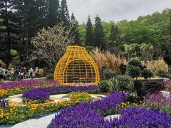 -深圳仙湖植物园