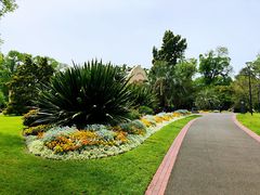 -斐兹洛伊花园