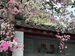 -深圳国际园林花卉博览园