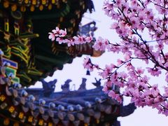 -迎泽公园