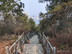 -青龙山国家森林公园