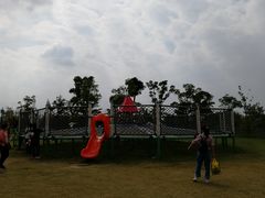 -上海长兴岛郊野公园