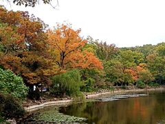 -灵谷景区